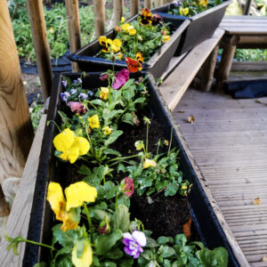 Colourful planters!