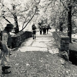 Black and white view of the bridge