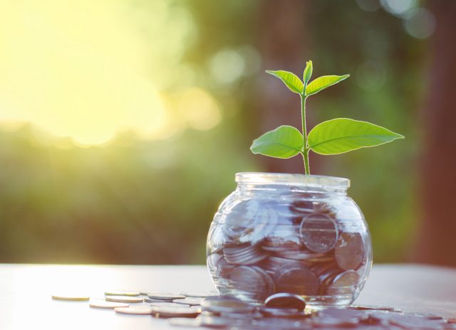 small sapling growing from pot of money